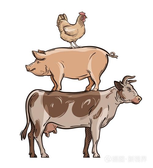 农场动物牛猪和鸡矢量图