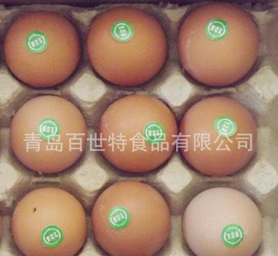 【欢迎选购专业食品厂家的优质鸡蛋,山鸡蛋【图】】价格_厂家_图片