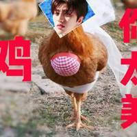 鸡你太美搞笑头像