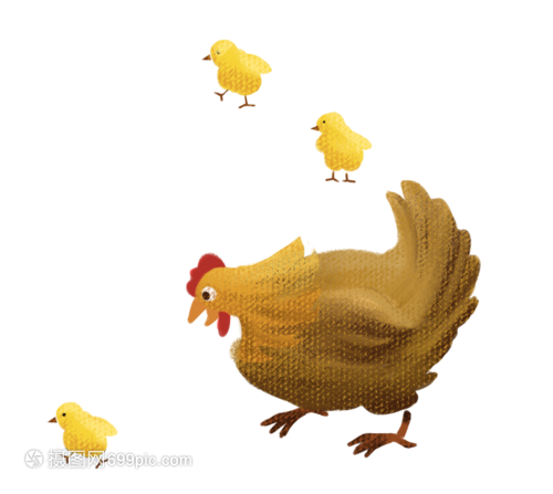 母鸡与小鸡