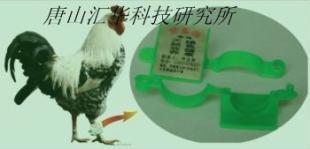 供应鸡脚环,鸭脚环价格_供应鸡脚环,鸭脚环厂家_世界工厂网产品信息库