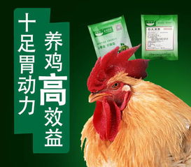 七夕礼物报价 厂家
