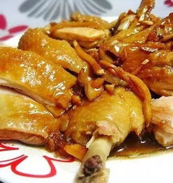 众生源 牌老母鸡系列产品弥久迷人